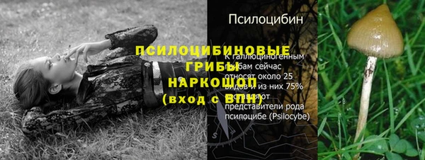 прущие крисы Кинешма