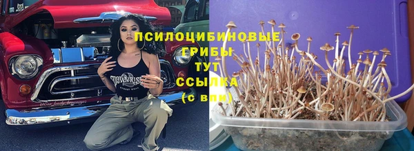эйфоретик Киреевск