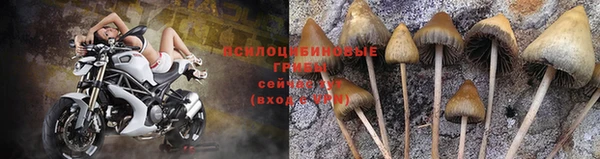 эйфоретик Киреевск