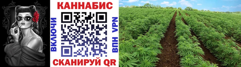 Купить  Давлеканово  Канабис White Widow 